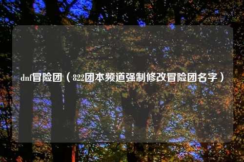 dnf冒险团（822团本频道强制修改冒险团名字）