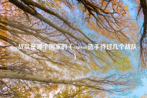 dwg战队是哪个国家的（canyon选手待过几个战队）