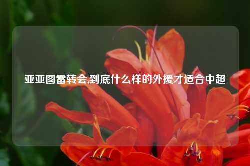 亚亚图雷转会,到底什么样的外援才适合中超