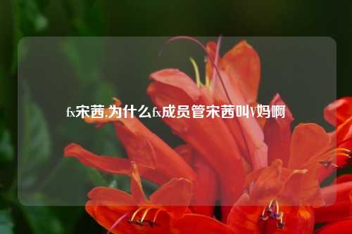 fx宋茜,为什么fx成员管宋茜叫V妈啊