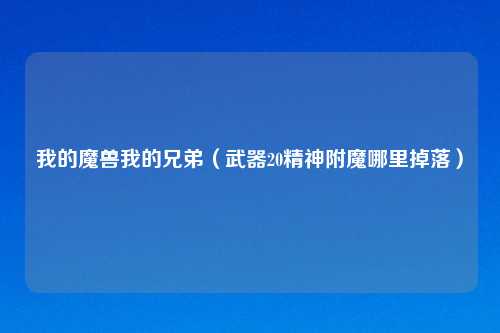 我的魔兽我的兄弟（武器20精神附魔哪里掉落）