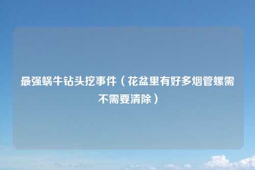 最强蜗牛钻头挖事件（花盆里有好多烟管螺需不需要清除）