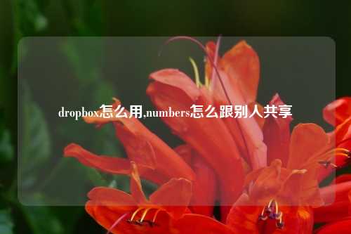 dropbox怎么用,numbers怎么跟别人共享
