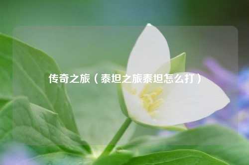 传奇之旅（泰坦之旅泰坦怎么打）