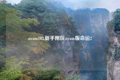 steam103,新手刚玩steam版命运2