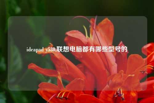 ideapad y530,联想电脑都有哪些型号的