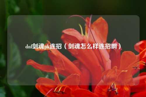 dnf剑魂pk连招（剑魂怎么样连招啊）