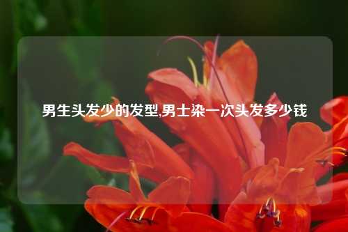 男生头发少的发型,男士染一次头发多少钱