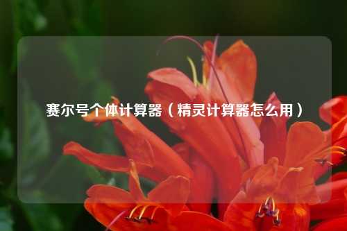赛尔号个体计算器（精灵计算器怎么用）