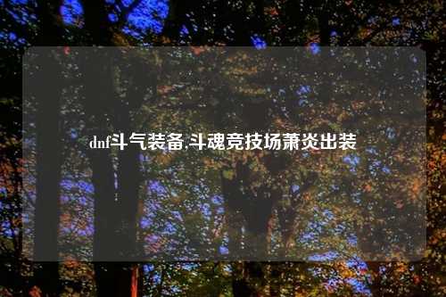 dnf斗气装备,斗魂竞技场萧炎出装