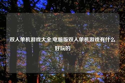 双人单机游戏大全,电脑版双人单机游戏有什么好玩的