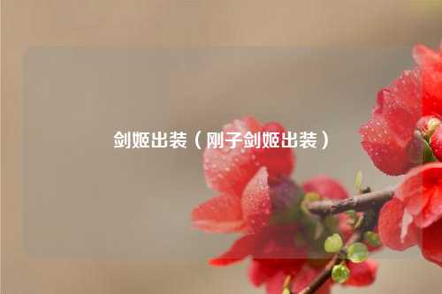 剑姬出装（刚子剑姬出装）