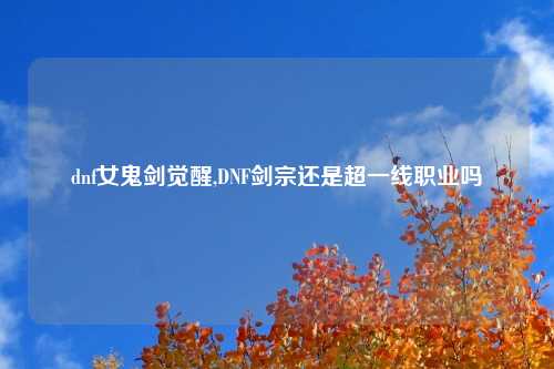 dnf女鬼剑觉醒,DNF剑宗还是超一线职业吗