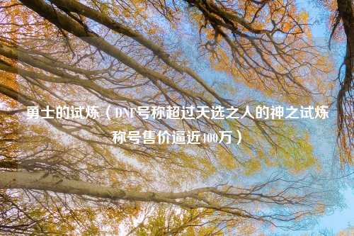勇士的试炼（DNF号称超过天选之人的神之试炼称号售价逼近400万）