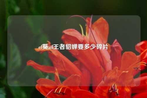 cf葵,cf王者貂蝉要多少碎片