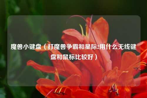 魔兽小键盘（打魔兽争霸和星际2用什么无线键盘和鼠标比较好）