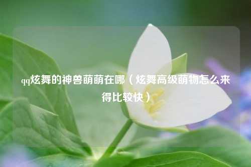qq炫舞的神兽萌萌在哪（炫舞高级萌物怎么来得比较快）