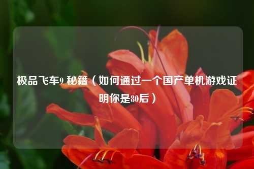 极品飞车9 秘籍（如何通过一个国产单机游戏证明你是80后）
