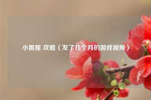 小黑屋 攻略（发了几个月的游戏视频）