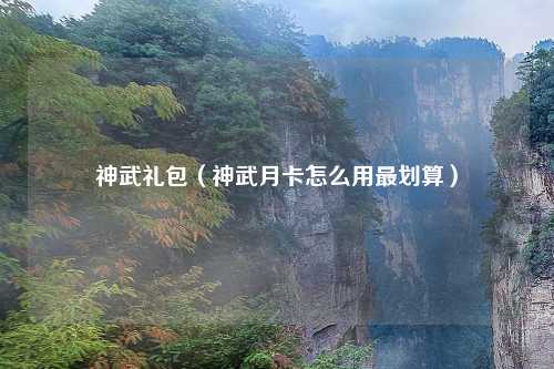 神武礼包（神武月卡怎么用最划算）