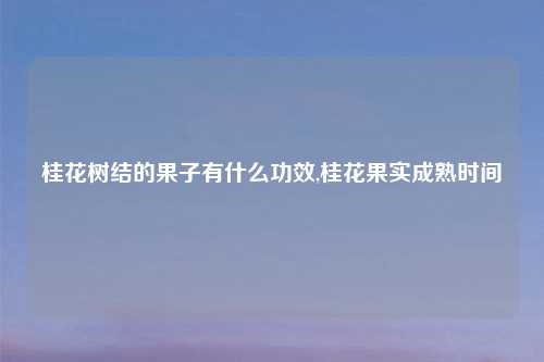 桂花树结的果子有什么功效,桂花果实成熟时间