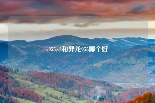 v955,v2和羿龙955哪个好