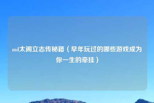 md太阁立志传秘籍（早年玩过的哪些游戏成为你一生的牵挂）