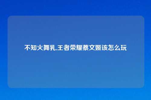 不知火舞乳,王者荣耀蔡文姬该怎么玩