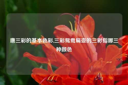 唐三彩的基本色彩,三彩鸳鸯扁壶的三彩指哪三种颜色