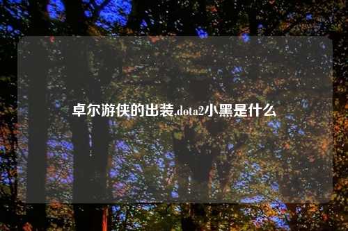 卓尔游侠的出装,dota2小黑是什么