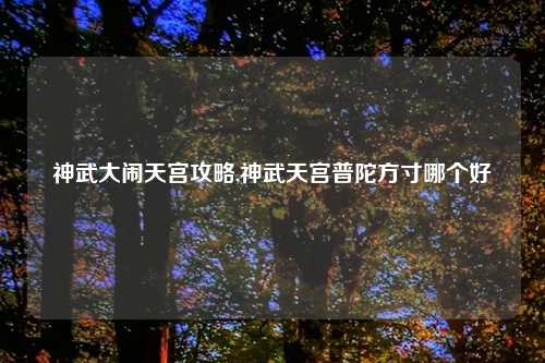 神武大闹天宫攻略,神武天宫普陀方寸哪个好