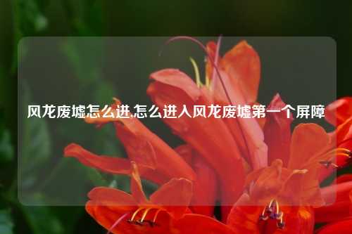 风龙废墟怎么进,怎么进入风龙废墟第一个屏障