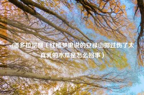 cf潘多拉觉醒（红楼梦里说的安禄山掷过伤了太真乳的木瓜是怎么回事）