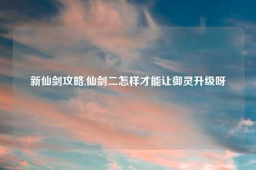 新仙剑攻略,仙剑二怎样才能让御灵升级呀