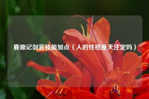 鹿鼎记剑客技能加点（人的性格是天注定吗）