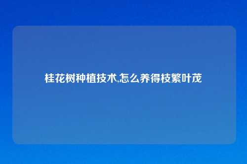 桂花树种植技术,怎么养得枝繁叶茂