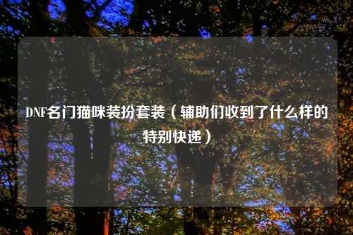 DNF名门猫咪装扮套装（辅助们收到了什么样的特别快递）