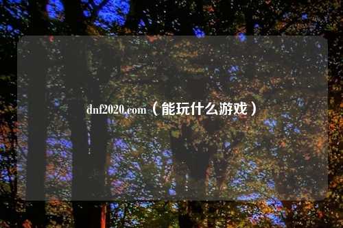 dnf2020.com（能玩什么游戏）