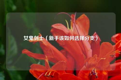 女鬼剑士（新手该如何选择分支）