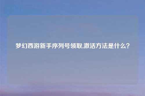 梦幻西游新手序列号领取,激活方法是什么？