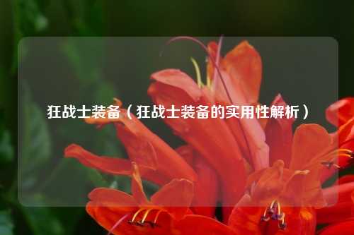 狂战士装备（狂战士装备的实用性解析）