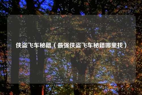 侠盗飞车秘籍（最强侠盗飞车秘籍哪里找）