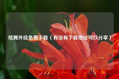 炫舞外挂免费下载（有没有下载地址可以分享）
