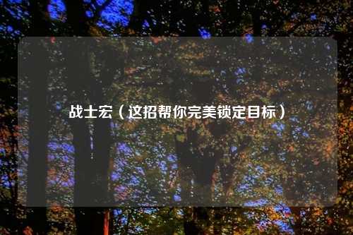 战士宏（这招帮你完美锁定目标）