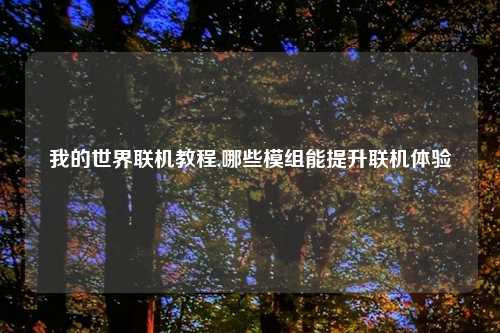 我的世界联机教程,哪些模组能提升联机体验