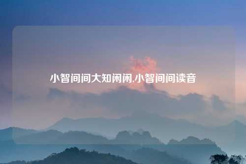 小智间间大知闲闲,小智间间读音