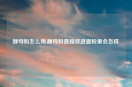 酵母粉怎么用,酵母粉直接放进面粉里会怎样