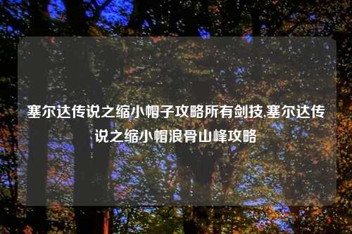 塞尔达传说之缩小帽子攻略所有剑技,塞尔达传说之缩小帽浪骨山峰攻略