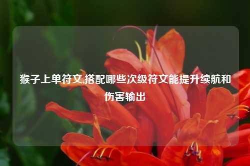 猴子上单符文,搭配哪些次级符文能提升续航和伤害输出