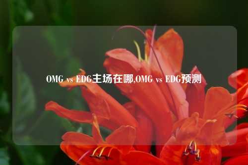 OMG vs EDG主场在哪,OMG vs EDG预测